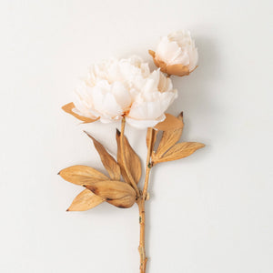 Vintage Peony