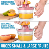 Citrus Juicer