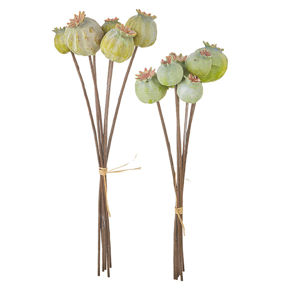 Poppy Seed Pod Bundle - 2 Styles